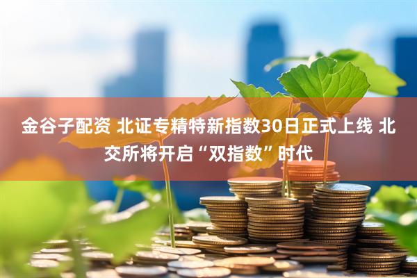 金谷子配资 北证专精特新指数30日正式上线 北交所将开启“双指数”时代