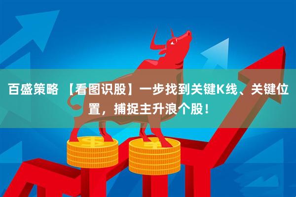 百盛策略 【看图识股】一步找到关键K线、关键位置，捕捉主升浪个股！