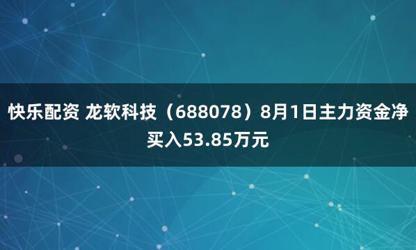 快乐配资 龙软科技（688078）8月1日主力资金净买入53.85万元