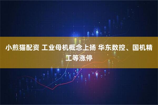 小煎猫配资 工业母机概念上扬 华东数控、国机精工等涨停