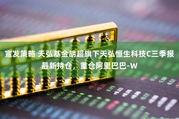 宣发策略 天弘基金胡超旗下天弘恒生科技C三季报最新持仓，重仓阿里巴巴-W