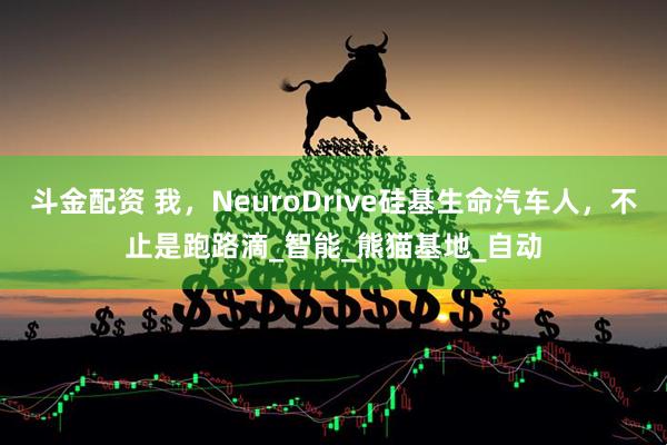 斗金配资 我，NeuroDrive硅基生命汽车人，不止是跑路滴_智能_熊猫基地_自动